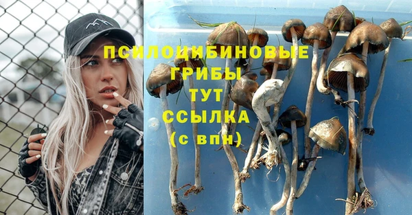 таблы Рославль