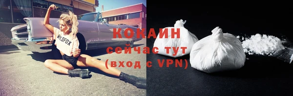 сатива Россошь
