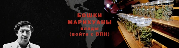 гидра Армянск
